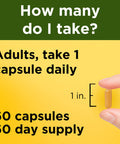 Nature Made Turmeric Curcumin 500 Mg Herbal Supplement For Antioxidant Support 60 Capsules 60 Day Supply