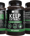 PURE ORIGINAL INGREDIENTS Kelp Extract (365 Capsules) No Magnesium Or Rice Fillers, Always Pure, Lab Verified