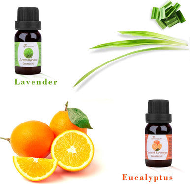 Diffuserlove Essential oils 6 Gift Set Eucalyptus, Lavender, Lemongrass, Sweet Orange, Peppermint,Tea Tree