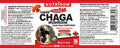 Nutridom Liquid Chaga mushroom (1x30ml bottle)