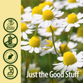 Nature'S Answer Chamomile Flower with Organic-Alcohol 2000mg 1oz Extract | Mood Support | Digestion Support | Gluten- Non-GMO Vegan No Artificial Flavors or Preservatives | Single Count