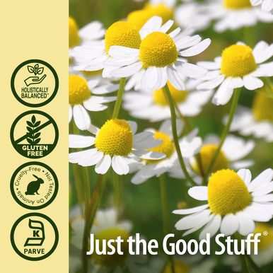 Nature'S Answer Chamomile Flower with Organic-Alcohol 2000mg 1oz Extract | Mood Support | Digestion Support | Gluten- Non-GMO Vegan No Artificial Flavors or Preservatives | Single Count