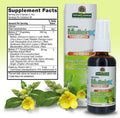 Nature'S Answer Mullein X Throat 2 Ounce Spray - Cold and Flu Support Natural Throat Soothing Clears Mucus Gluten Non GMO Vegetarian Natural Peppermint Flavor - Mullein Drops for Lungs