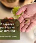 Standard Process Zymex Capsules Whole Food Digestion 150 Cap