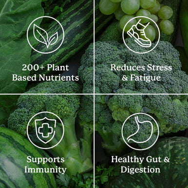 Nature'S Sunshine Power Greens - Wholefood Performance Greens (Power Pouch)