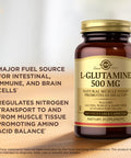Solgar L Glutamine 500 Mg 100 Vegetable Capsules Natural Muscle Food - Non-Gmo Vegan Gluten Free Dairy Free Kosher - 33 Servings