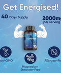 Weightworld L Carnitine Capsules 2000mg (666mg per Capsule) | High Performance L-Carnitine Supplement for Pre & Post Workout | Non-GMO & Vegan L Carnitine Tartrate for Energy
