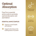 Solgar Essential Amino Complex 90 Vegetable Capsules - Free Form Essential Amino Acids - Non-Gmo Vegan Gluten Free Dairy Free Kosher - 90 Servings
