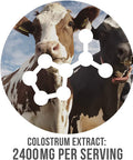 Nutrasumma Organic Colostrum Supplement For Humans, 5Oz Bovine Colostrum Supplement With High Prps & Igg For Support Immunity, Gut, Skin, Brain Health (Vanilla)