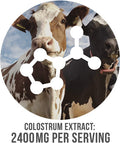 Nutrasumma Organic Colostrum Supplement For Humans, 5Oz Bovine Colostrum Supplement With High Prps & Igg For Support Immunity, Gut, Skin, Brain Health (Vanilla)