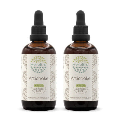 Artichoke B120 (2Pcs) Alcohol-Free Herbal Extract Tincture, Concentrated Liquid Drops Natural Artichoke (Cynara Scolymus) Dried
