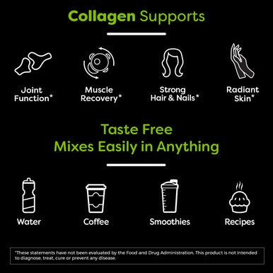Orgain Grass Fed Hydrolyzed Collagen Peptides Protein Powder Organic Nutritional Shake Creamy Chocolate Fudge Meal Replacement 16g Protein 21 Vitamins Minerals 11 Ounce 12 Count