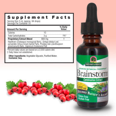 Nature'S Answer Brainstorm 1 Fluid Ounce | Cognitive Support | Alcohol- | Gluten- | Kosher | Single Count