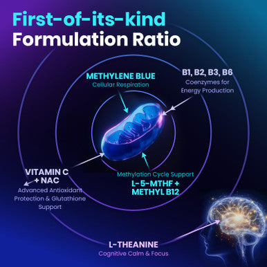 Megneta Methylene Blue Pharmaceutical Grade Capsules For Humans - Triple-Pathway Formula With Pure Mb Nac L-5-Mthf L-Theanine& Methyl B12 | Cognition Mental Clarity Cellular Energy & Antioxidant Support