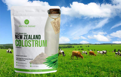 Antler Farms 100% Pure Zealand Colostrum, 30 Servings, 1 Lb - Grass Fed, Pasture Raised, Clean Sourced, Cold Processed, Undiluted, High Igg Content