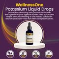 Wellnessone Ionic Potassium Supplement - Potassium Chloride Drops For Fast Absorption - Boost Immune System & Muscle Function - Usa Tested, Vegan, Non-Gmo, Gluten Free, Unflavored, 1.67 Fl Oz