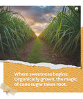 Fermentaholics Organic Cane Sugar | Ou her | Natural Sweetener For Cooking Fermentation Beverages & More | Non Gmo & Gluten | No Additives