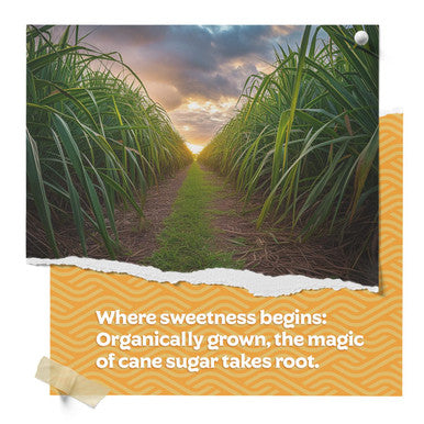 Fermentaholics Organic Cane Sugar | Ou her | Natural Sweetener For Cooking Fermentation Beverages & More | Non Gmo & Gluten | No Additives