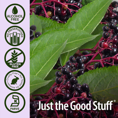 Nature's Answer Sambucus Black Elder Berry Extract Spray 2 oz