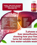 Vvnaturals Sugar 26 In 1 Liver Cleanse Detox and Repair Fatty Liver Formula Gummies 3000Mg Blend Of Glutathione Silymarin Milk Thistle Choline Tudca Liver Detox Gummies - 60 Vegan Ct
