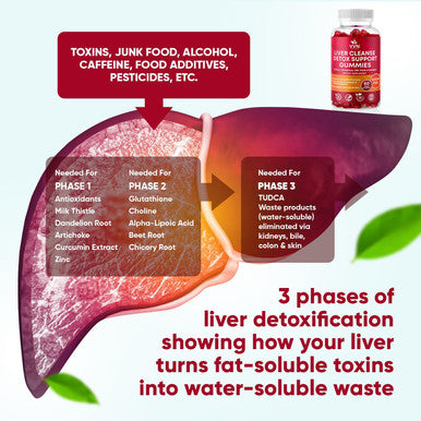 Vvnaturals Sugar 26 In 1 Liver Cleanse Detox and Repair Fatty Liver Formula Gummies 3000Mg Blend Of Glutathione Silymarin Milk Thistle Choline Tudca Liver Detox Gummies - 60 Vegan Ct