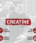 5% Nutrition Rich Piana CreaTEN 10 in 1 Formula Flavored Creatine Powder for Muscle Gain Enhance Power Strength Endurance and Recovery 8.78 oz 30 Srvngs (Blue Raspberry)
