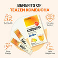 Teazen Hot Kombucha Ginger Lemon Flavor Variety Pack with Classic Eco Bottle (Kombucha Powder 40 Sticks Eco Bottle 1EA x 11.8oz)