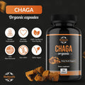 Bioyouth Chaga Capsules Organic Supplement | Supports Immune Health & Vitality | Daily Immune Support | Organic Chaga Mushroom Extract | 90 Capsules (1 Month Supply)