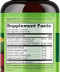 NATURELO Vegan Iron Supplement with Vitamin C and Organic Whole Foods - Gentle Iron Pills for Women & Men w/ Iron Deficiency Including Pregnancy, Anemia and Vegan Diets - 90 Mini Capsules