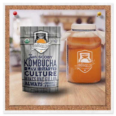 Fermentaholics Jun Kombucha Starter Culture Usda Organic Jun Scoby and Starter Tea Makes 1 Gallon Brewed With Organic Green Tea and Honey Brew Jun Tea