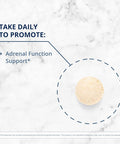 Metagenics Adrenogen - Adrenal Health Support - Raw Adrenal Complex - Aid in Hormone Balance - with B Vitamins & PABA - d Raw - Non-GMO - Gluten- - 90 Tablets