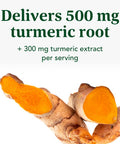 MegaFood Turmeric Curcumin Extra Strength - Supplement To Support Liver Health With Bioperine Black Pepper And Milk Thistle Extract - Vegan - Made Without 9 Food Allergens - 90 Tabs (45 Servings)
