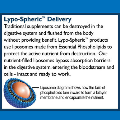 LivOn Laboratories Lypo-Spheric B Complex Plus Minerals and Cinnamon Supplement, 30 Count