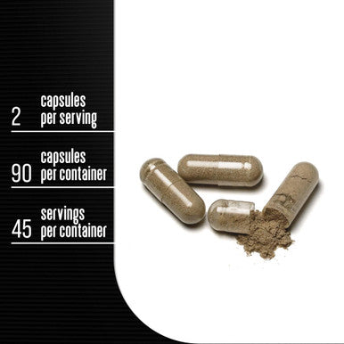 ADDOT WELLLIFE Prostate Max, Prostate Health Supplement for Men with Saw Palmetto Plus 30 Herbs, Vitamins, Minerals, 90 Capsules, Restore Prostate Wellness, Urinary Health, Reduce Bathroom Trips