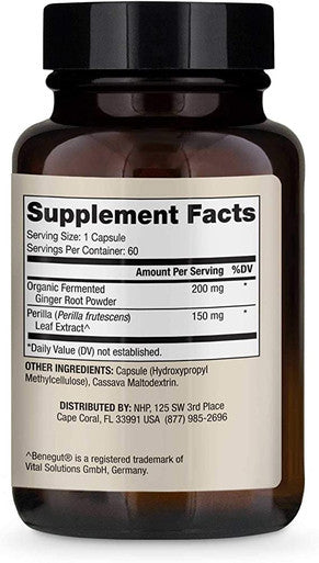 Dr. Mercola Fermented Ginger Beer, 0.5 Ounce