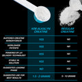 Kre-Alkalyn EFX Powder 0.35 lbs By All American Efx