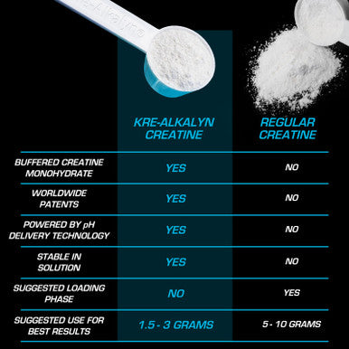 Kre-Alkalyn EFX Powder 0.35 lbs By All American Efx