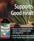 Nature'S Answer Hydrangea Root Extract Supplement with Organic Alcohol 1-Fluid Ounce | Promotes Kidney Health | Urinary Tract Support