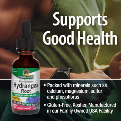 Nature'S Answer Hydrangea Root Extract Supplement with Organic Alcohol 1-Fluid Ounce | Promotes Kidney Health | Urinary Tract Support