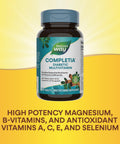 Nature'S Way Completia Diabetic Multivitamin Provides Essential Nutrients With Alpha Lipoic Acid Cinnamon Fenugreek Taurine Lutein High Potency B-Vitamins 60 Tablets (Packaging May Vary)