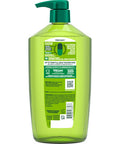 Garnier Fructis Grow Strong Thickening Shampoo for Fine Hair Biotin C 33.8 Fl Oz 1 Count Packaging May Vary