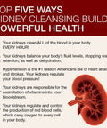 Dr. Schulzes 5Day Kidney Detox Detoxes Cleanses Bladder Herbal Dietary Supplement Weight Loss Aid Dissolves Kidney Bladder Deposits Support Urinary Tract Health
