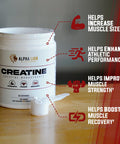 ALPHA LION Creatine Monohydrate Powder, 5000mg Per Serving (5g), Supports Muscle Strength, Power, Athletic Performance, Pure Creatine Supplement (60 Servings, Unflavored)