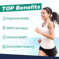 owegel Berberine HCL Supplement with Ceylon Cinnamon - Highly Absorbable Liposomal Berberine Liquid Drops 3000mg- 12 in 1 Natural Ingredients - AMPK Activator - 2 Fl Oz