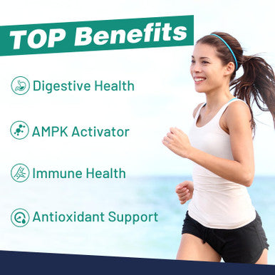 owegel Berberine HCL Supplement with Ceylon Cinnamon - Highly Absorbable Liposomal Berberine Liquid Drops 3000mg- 12 in 1 Natural Ingredients - AMPK Activator - 2 Fl Oz