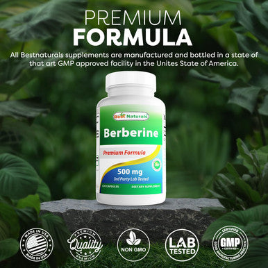 Best Naturals Berberine 500mg 120 Capsules - Supports Immune Function Cardiovascular & Gastrointestinal Function (120 Count (Pack of 1))