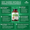Zazzee Mimosa Pudica Seed 10:1 Extract, 200 Vegan Capsules, 1100 mg, 3+ Month Supply, Potent 10:1 Extract, Non-GMO and All-Natural
