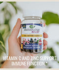 Nature's Way Sambucus Relief Gummies with Elderberry, Vitamin C, Zinc and South African Geranium, Immune Support, 60 Count