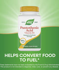 NatureS Way Pantothenic Acid Supports Cellular Energy 500Mg Per Serving 100 Capsules