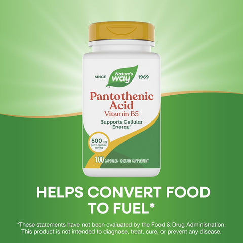 NatureS Way Pantothenic Acid Supports Cellular Energy 500Mg Per Serving 100 Capsules